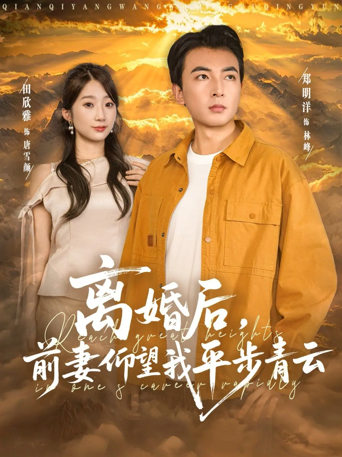 离婚后前妻仰望我平步青云 海报