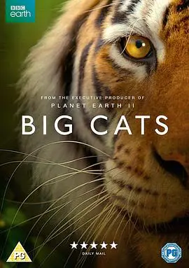 《大猫》：一场关于守护与爱的温柔史诗，让你瞬间融化！