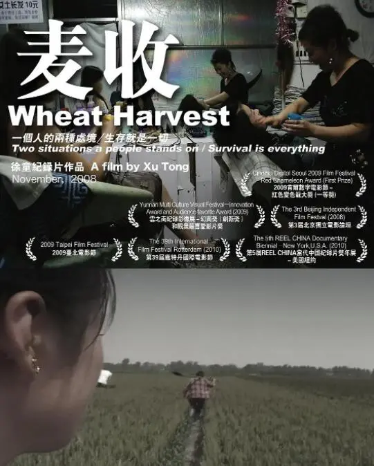 《麦收》：这不是一部简单的足球片，这背后隐藏着关于“卡塔尔”的深度“心理”博弈！