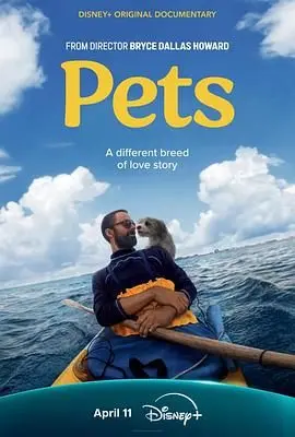 《宠 Pets》：萌宠治愈还是惊悚预警？这藏北秘岭般的反转，你敢信？