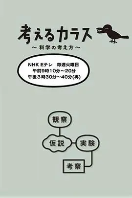 像乌鸦一样思考 海报