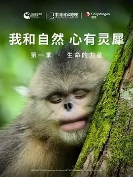 《我和自然 心有灵犀》第一季：生命的力量震撼心灵，自然纪录片的天花板！