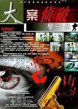 大案侦破警示录 海报