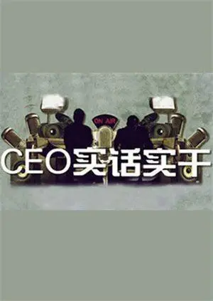 CEO实话实干 海报
