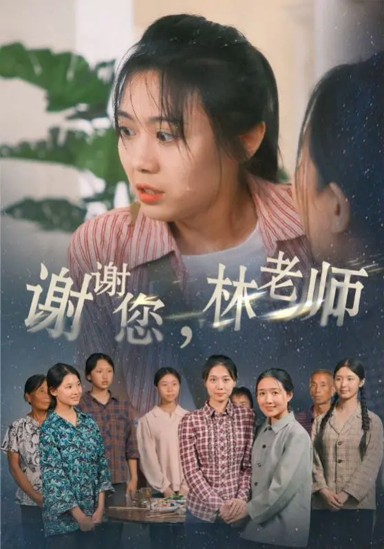 谢谢您，林老师 海报
