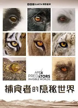 《捕食者的隐秘世界》：视觉震撼！揭秘顶级掠食者的生存哲学！